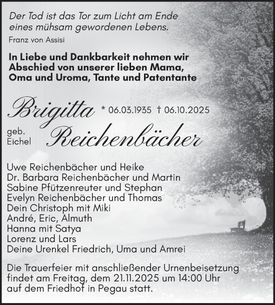 Traueranzeige von Brigitta Reichenbächer von Trauerkombi Zeitz