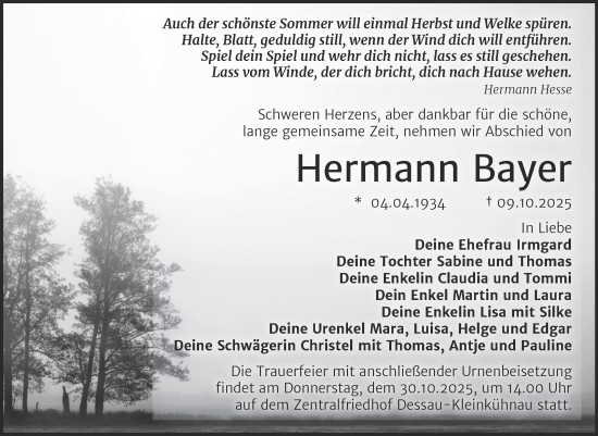 Traueranzeige von Hermann Bayer von Trauerkombi Dessau