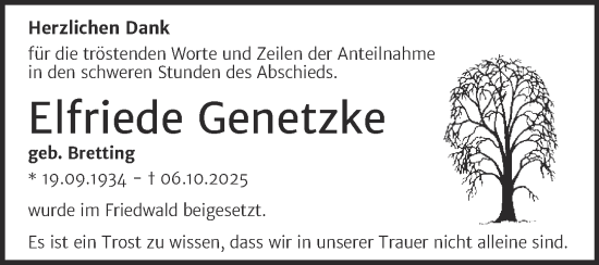Traueranzeige von Elfriede Genetzke von Trauerkombi Dessau