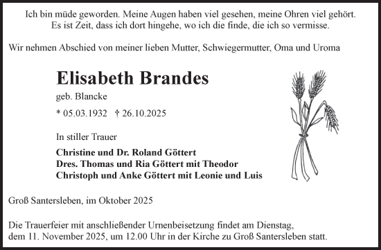 Traueranzeige von Elisabeth Brandes von Volksstimme Oschersleben/Wanzleben