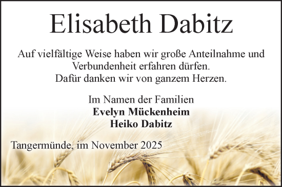 Traueranzeige von Elisabeth Dabitz von Volksstimme Altmark Ost