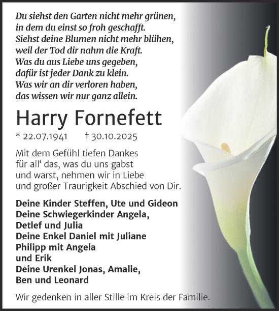 Traueranzeige von Harry Fornefett von Mitteldeutsche Zeitung Merseburg/Querfurt