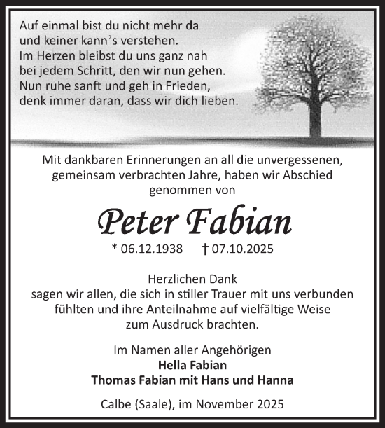 Traueranzeige von Peter Fabian von Volksstimme Schönebeck