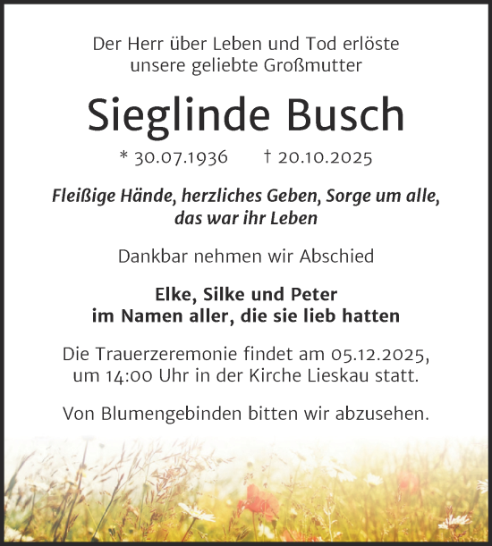 Traueranzeige von Sieglinde Busch von Mitteldeutsche Zeitung Halle/Saalkreis