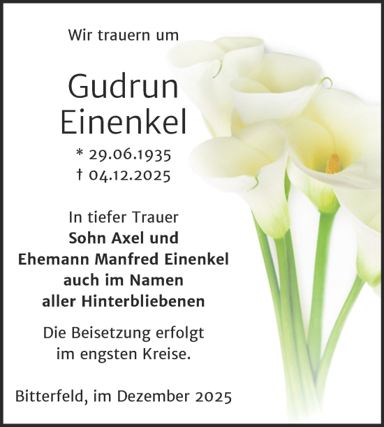 Traueranzeige von Gudrun Einenkel von Trauerkombi Bitterfeld