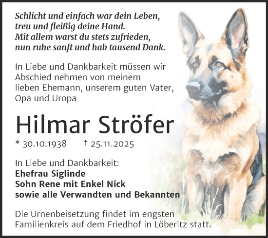 Traueranzeige von Hilmar Ströfer von Trauerkombi Bitterfeld