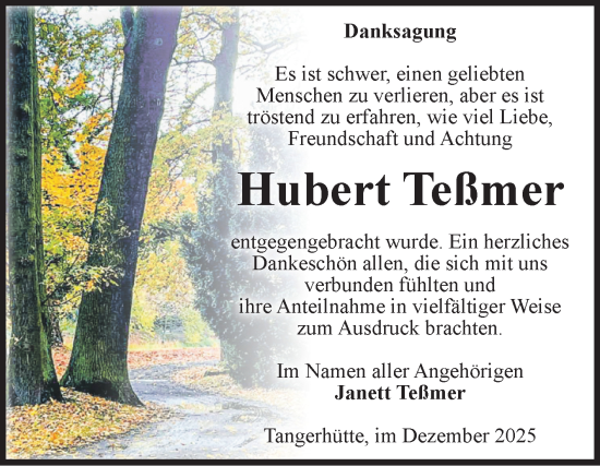 Traueranzeige von Hubert Teßmer von Volksstimme Altmark Ost
