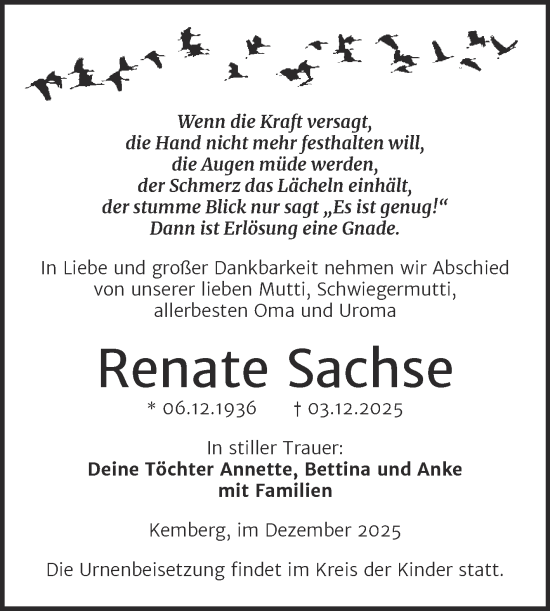 Traueranzeige von Renate Sachse von Trauerkombi Wittenberg