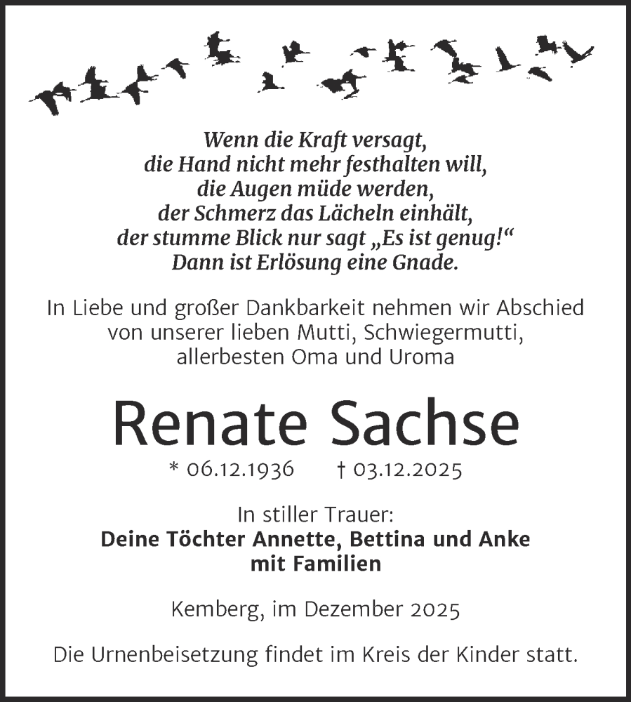  Traueranzeige für Renate Sachse vom 13.12.2025 aus Trauerkombi Wittenberg