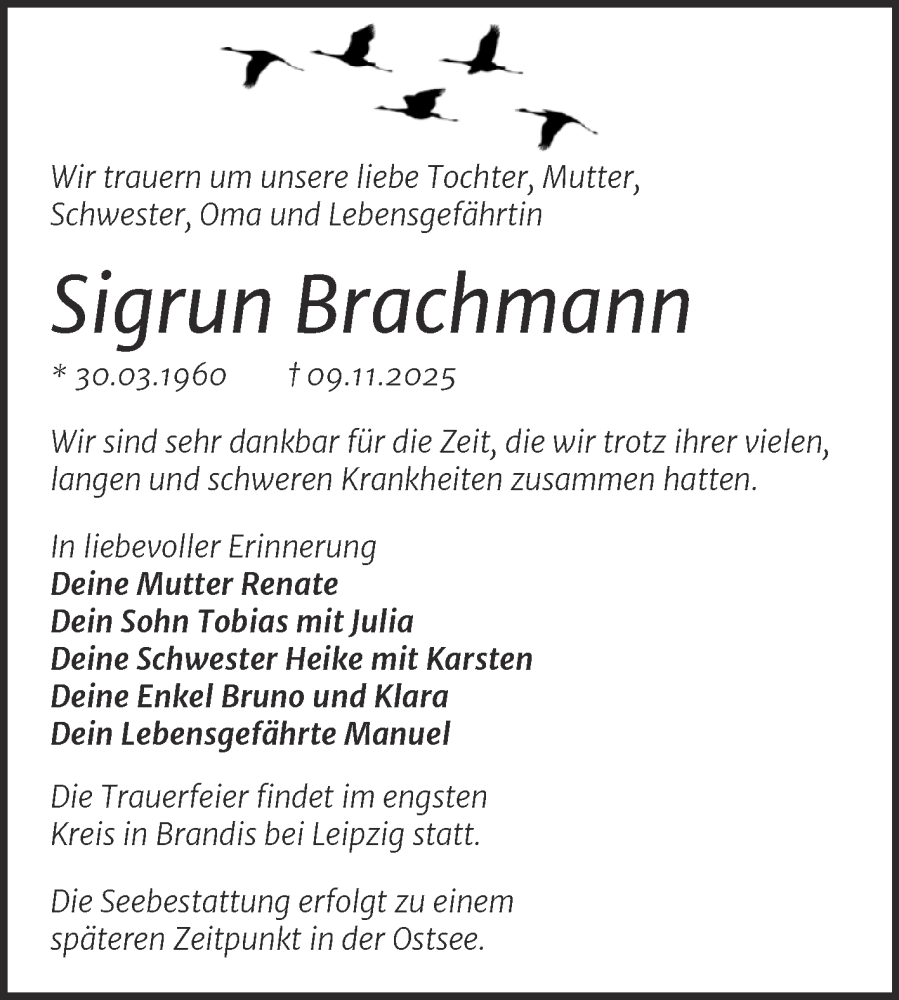  Traueranzeige für Sigrun Brachmann vom 06.12.2025 aus Super Sonntag Merseburg/Querfurt