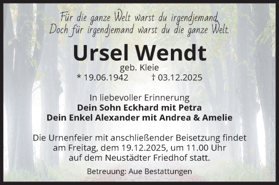 Traueranzeige von Ursel Wendt von Volksstimme Magdeburg