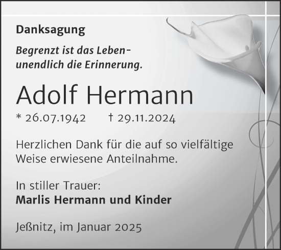 Traueranzeige von Adolf Hermann von Trauerkombi Bitterfeld