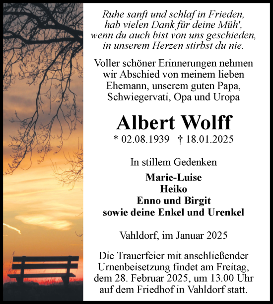 Traueranzeige von Albert Wolff von Volksstimme Haldensleben/Wolmirstedt