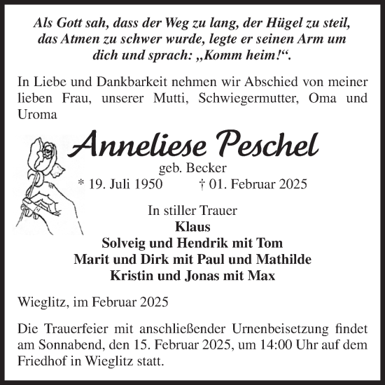 Traueranzeige von Anneliese Peschel von Volksstimme Haldensleben/Wolmirstedt