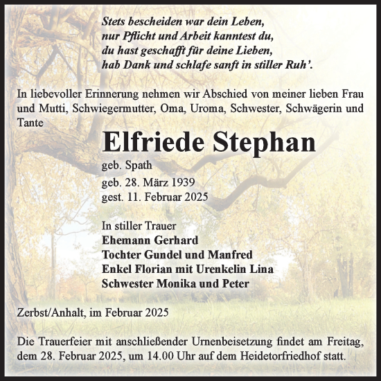 Traueranzeige von Elfriede Stephan von Volksstimme Zerbst