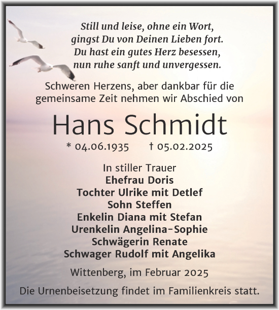 Traueranzeige von Hans Schmidt von Trauerkombi Wittenberg