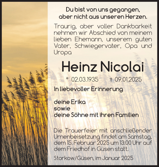 Traueranzeige von Heinz Nicolai von Volksstimme Burg/Genthin