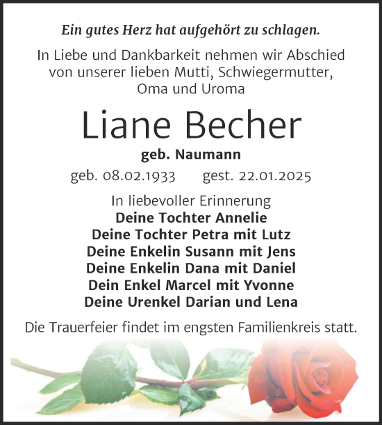 Traueranzeige von Liane Becher von Trauerkombi Weißenfels