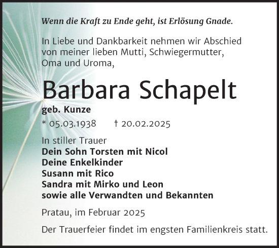 Traueranzeige von Barbara Schapelt von Trauerkombi Wittenberg