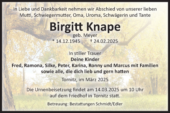 Traueranzeige von Birgitt Knape von Volksstimme Schönebeck