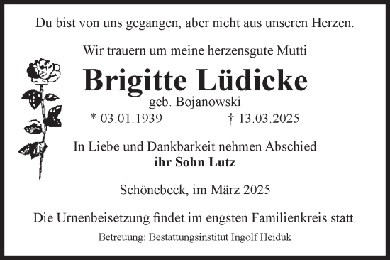 Traueranzeige von Brigitte Lüdicke von Volksstimme Schönebeck