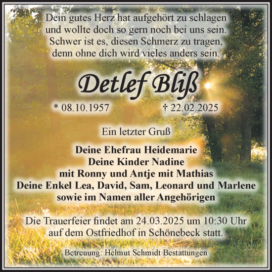 Traueranzeige von Detlef Bliß von Volksstimme Schönebeck