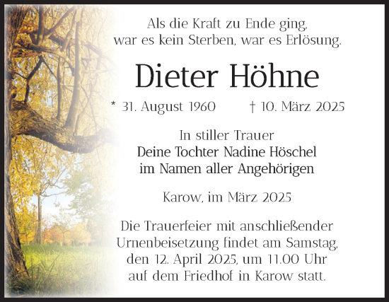 Traueranzeige von Dieter Höhne von Volksstimme Burg/Genthin