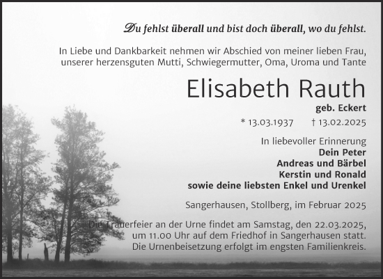Traueranzeige von Elisabeth Rauth von Trauerkombi Sangerhausen