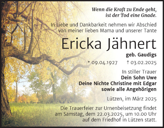 Traueranzeige von Ericka Jähnert von Trauerkombi Weißenfels