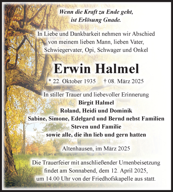 Traueranzeige von Erwin Halmel von Volksstimme Haldensleben/Wolmirstedt