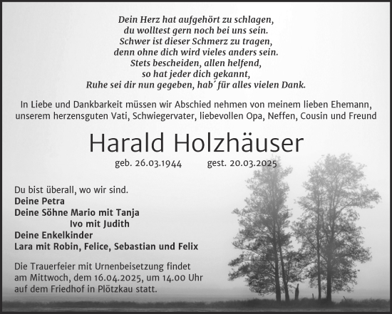 Traueranzeige von Harald Holzhäuser von Trauerkombi Mansfelder Land