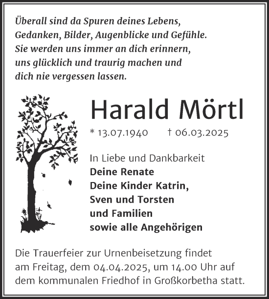 Traueranzeige von Harald Mörtl von Trauerkombi Weißenfels
