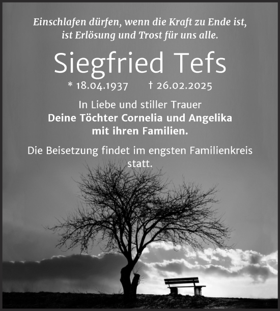 Traueranzeige von Siegfried Tefs von Mitteldeutsche Zeitung Halle/Saalkreis
