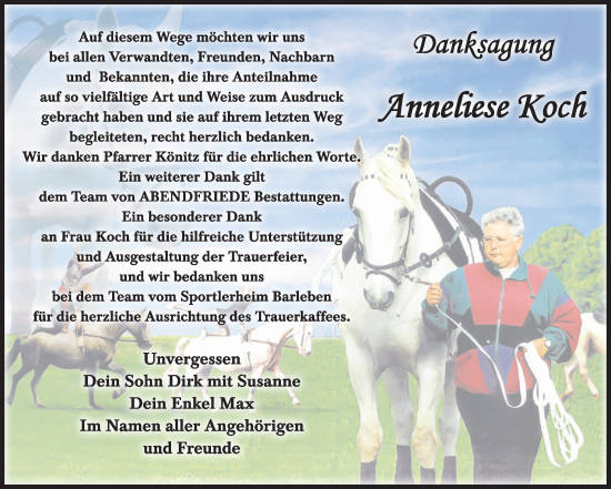 Traueranzeige von Anneliese Koch von Volksstimme Haldensleben/Wolmirstedt