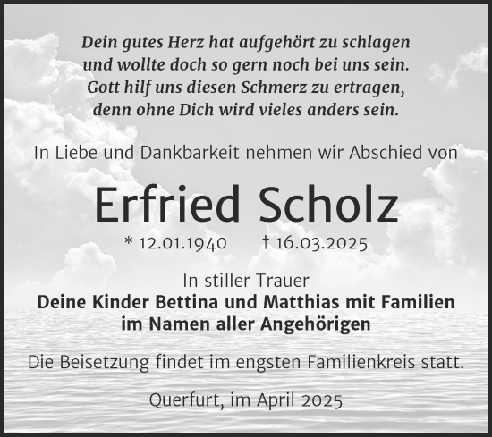 Traueranzeige von Erfried Scholz von Trauerkombi Merseburg