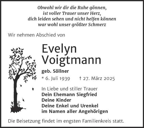 Traueranzeige von Evelyn Voigtmann von Trauerkombi Weißenfels