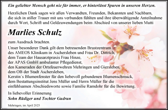 Traueranzeige von Marlies Schulz von Trauerkombi Aschersleben