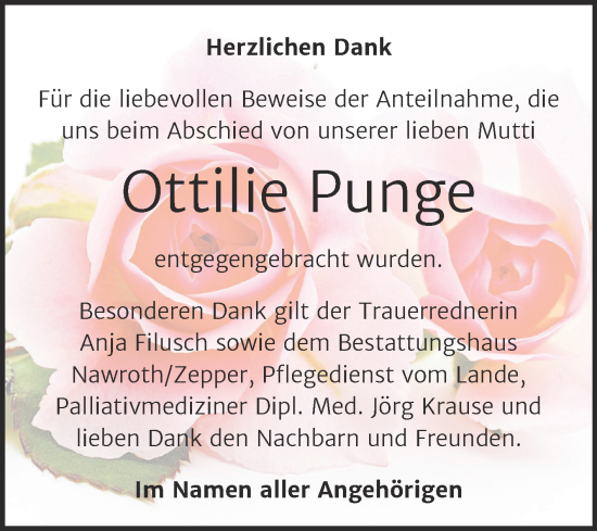 Traueranzeige von Ottilie Punge von Trauerkombi Bitterfeld