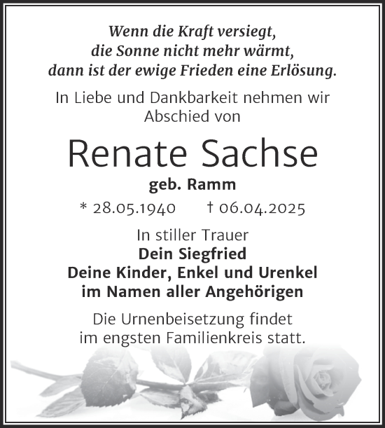 Traueranzeige von Renate Sachse von Mitteldeutsche Zeitung Halle/Saalkreis