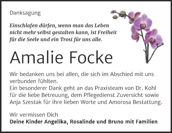 Traueranzeige von Amalie Focke von Trauerkombi Dessau