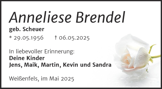 Traueranzeige von Anneliese Brendel von Trauerkombi Weißenfels