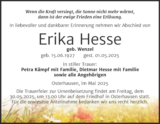 Traueranzeige von Erika Hesse von Trauerkombi Mansfelder Land