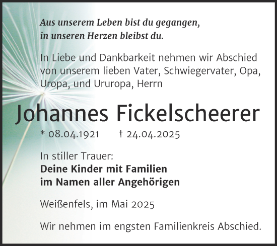 Traueranzeige von Johannes Fickelscheerer von Trauerkombi Weißenfels