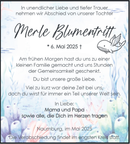 Traueranzeige von Merle Blumentriff von Super Sonntag Naumburg/Nebra