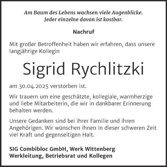 Traueranzeige von Sigrid Rychlitzki von Super Sonntag Wittenberg