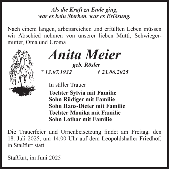 Traueranzeige von Anita Meier von Volksstimme Staßfurt