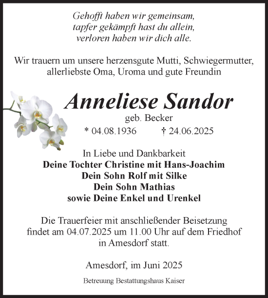 Traueranzeige von Anneliese Sandor von Volksstimme Staßfurt