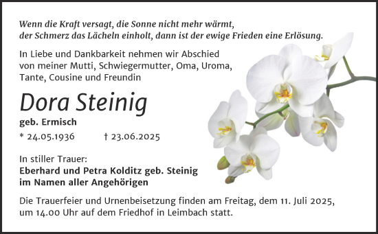 Traueranzeige von Dora Steinig von Trauerkombi Mansfelder Land