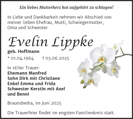 Traueranzeige von Evelin Lippke von Trauerkombi Merseburg