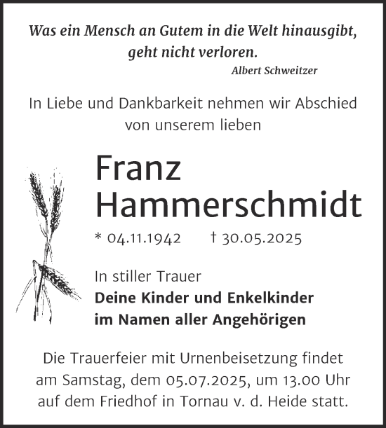 Traueranzeige von Franz Hammerschmidt von Trauerkombi Bitterfeld